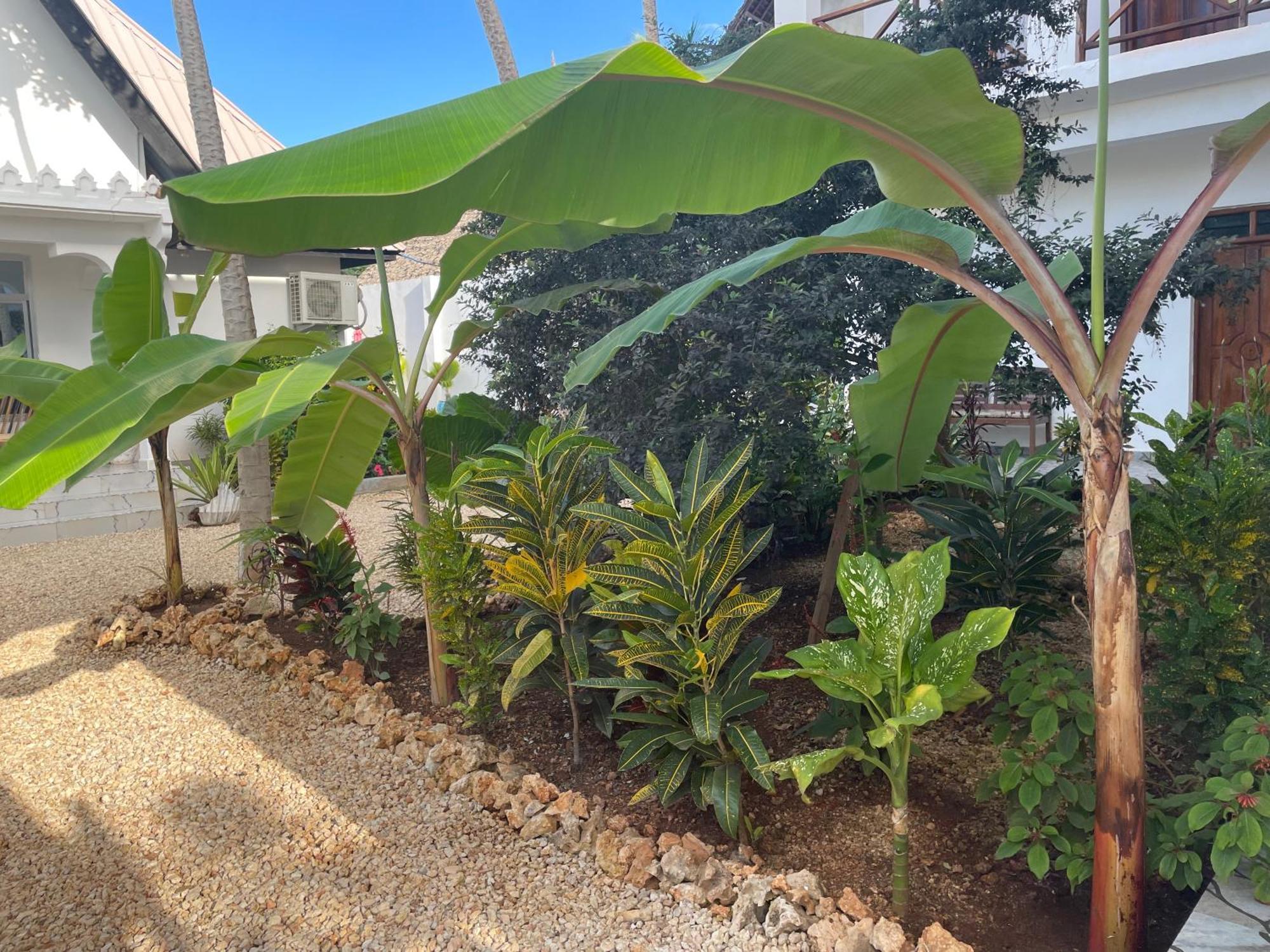 Daniel Zanzibar Hotel Nungwi Bagian luar foto